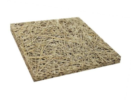 Vierkante rand akoestisch geluid Houtwol cement paneel voor plafond decoratie oplossing