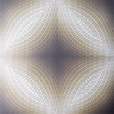 Kleurrijk 3D PVC composietwandpaneel voor decoratieve materialen Grootte 500*1000*3.0mm