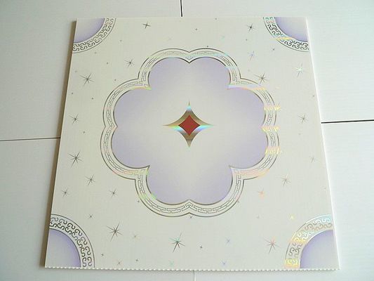 3D PVC-compositboard voor wand- en plafonddecoratieve grootte Ect pd109 Duurzaam materiaal