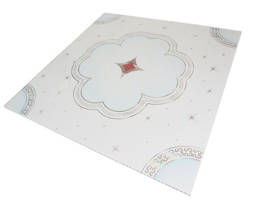 PD113 500mmx500mm 3D PVC-compositboard/paneel voor de verkoop aan muren en plafonds