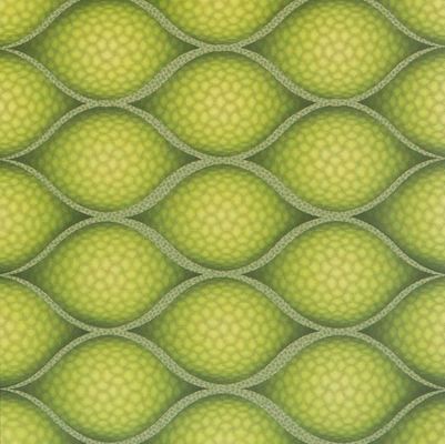 PD117 Waterdicht 3D PVC-paneel / plaat voor wand- en plafondpakket Bruto gewicht 3.000 kg
