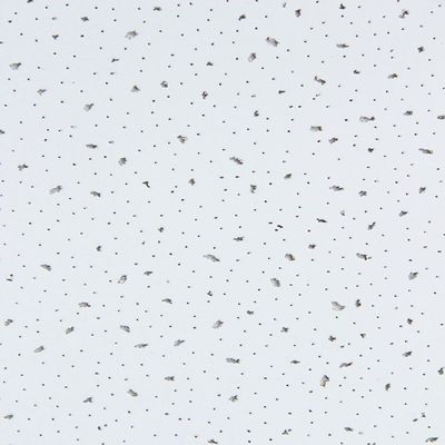 Hotelierperforated Mineral Fiber Wool Drop Ceiling Tile Boards voor akoestische geluidsisolatie