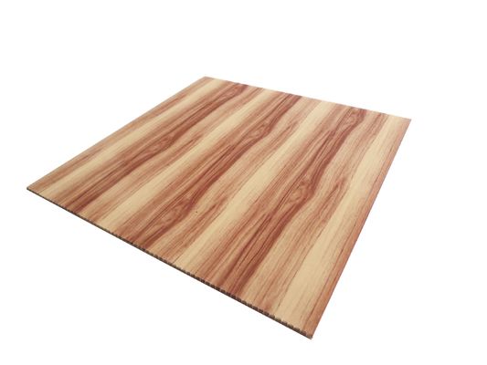 Gepersonaliseerd waterdicht kunststof 3D wandpaneel voor interieurdecoratie Grootte 460mm*460mm