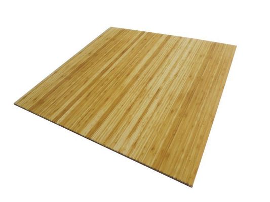 Gepersonaliseerd waterdicht kunststof 3D wandpaneel voor interieurdecoratie Grootte 460mm*460mm