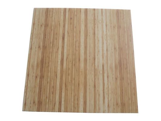 Gepersonaliseerd waterdicht kunststof 3D wandpaneel voor interieurdecoratie Grootte 460mm*460mm