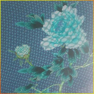 Geen frame Plastic Composite 3D Panel voor Decoratieve plafond/muur Grootte 500mm*500mm