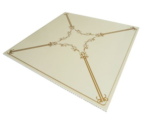 Geen frame Plastic Composite 3D Panel voor Decoratieve plafond/muur Grootte 500mm*500mm