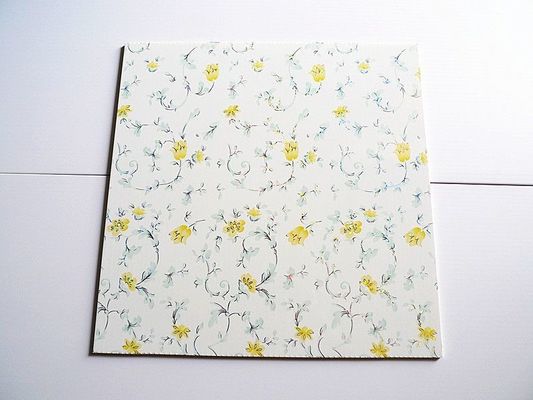 Kleurrijk waterdicht PVC 3D-bord voor KTV / Bar Wand Decoratie 500*2000*3.0mm