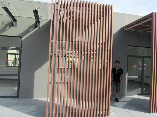 Buitenhouten hout plastic composiet WPC dekheining hek NY75 * 25 met hout graan patroon