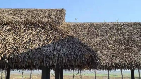 Wereldwijde verkoop Prachtige en elegante rieten dakpannen voor natuurlijke versiering