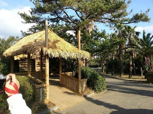 Gepersonaliseerd grijs synthetisch rieten dak ontwerp voor tuin / strandbars en aangepast