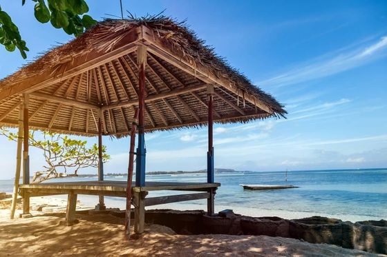 Gepersonaliseerd grijs synthetisch rieten dak ontwerp voor tuin / strandbars en aangepast