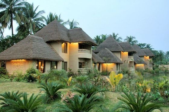 Upgrade naar Noya Straw Tile 1000 * 600 mm voor Tiki Artificial Straw Roofing