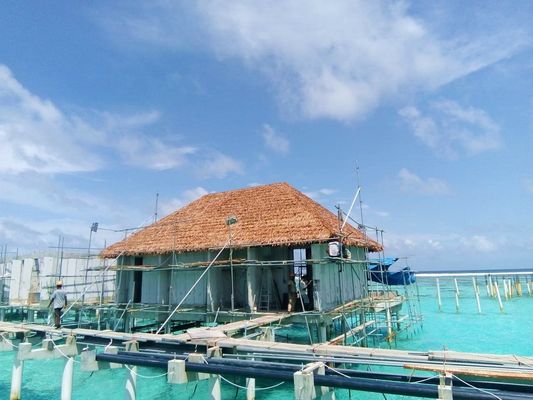 Hoteeldakoplossing Anti-UV synthetische palmbladeren dakstok met nylon materiaal