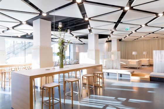 Vlamvertragend plafondtegel van glasvezel voor akoestische geluidsisolatie en -decoratie