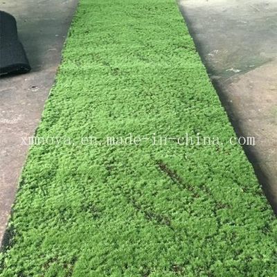 Gepersonaliseerde kunstmatige mos voor kleuterschool Tuinpark Landschapsbouw Gepersonaliseerde grootte
