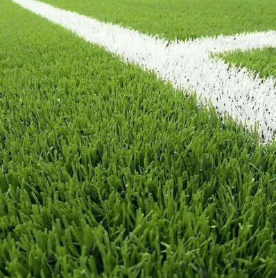 25 mm Pile Height PP Kunstgras voor voetbalveld NYG010 Recreatiegebied