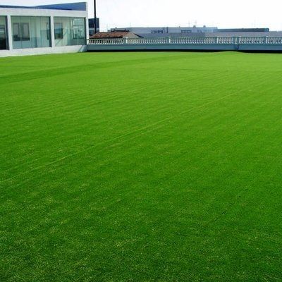 25 mm Pile Height PP Kunstgras voor voetbalveld NYG010 Recreatiegebied