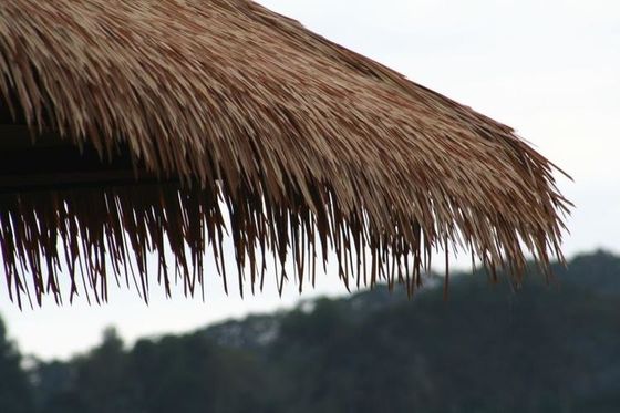 Hotel plafondtegel Natuurlijk rieten materiaal / Eco-vriendelijk rieten dak met natuurlijke kleur