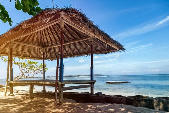 Goede prijs Indonesië Kunststof Artistiek Droog rieten Gazebo Canopy Tent Pergolas Tenten Synthetische rieten Cottage Droog gras dak