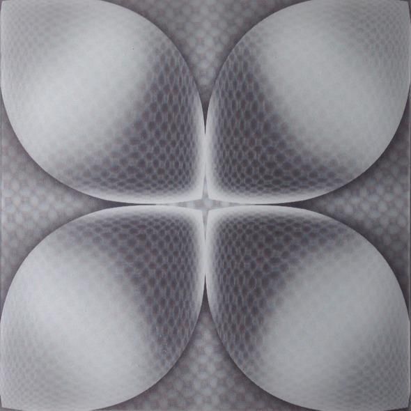 460mm*460mm Grootte PD120 3D PVC-bord/paneel voor wand- en plafonddecoratief Veel ontwerpen