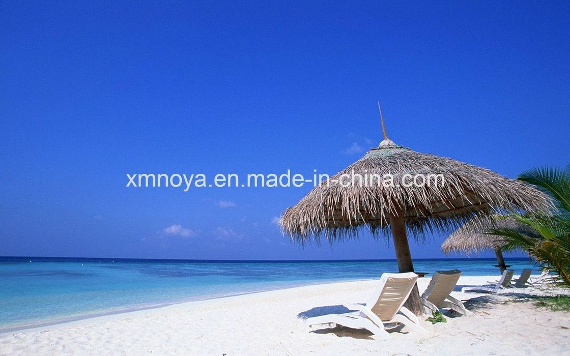Gepersonaliseerd waterdicht rieten dakmateriaal voor strand synthetische en aangepaste grootte
