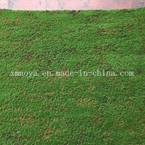 Plastic Green Carpet Moos voor milieuvriendelijke wanddecoratie Levensduur binnen 5-10 jaar